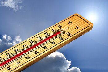 Canicule : protégeons aussi nos animaux !